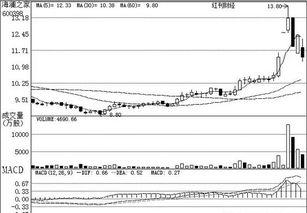 公司研究之機(jī)構(gòu)關(guān)注個(gè)股